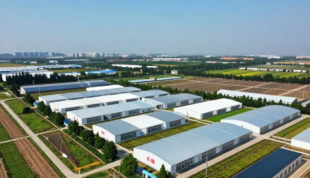 如何有效利用精准推广套餐提升决策支持能力